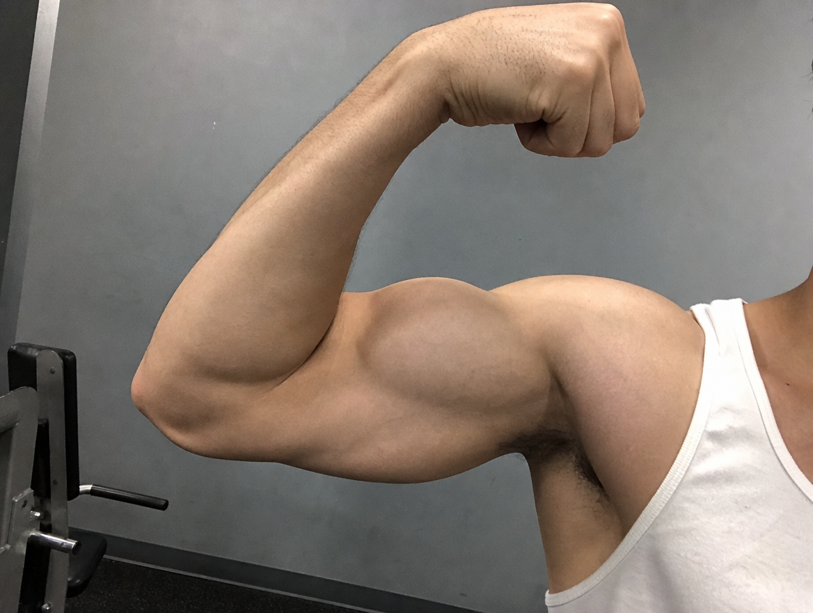 マッスルバーDr.PumP 岐阜店